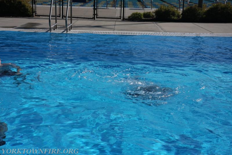 2008 Water Rescue Unit Swim test 
