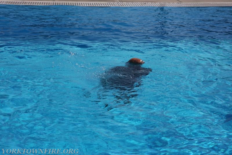 2008 Water Rescue Unit Swim test 